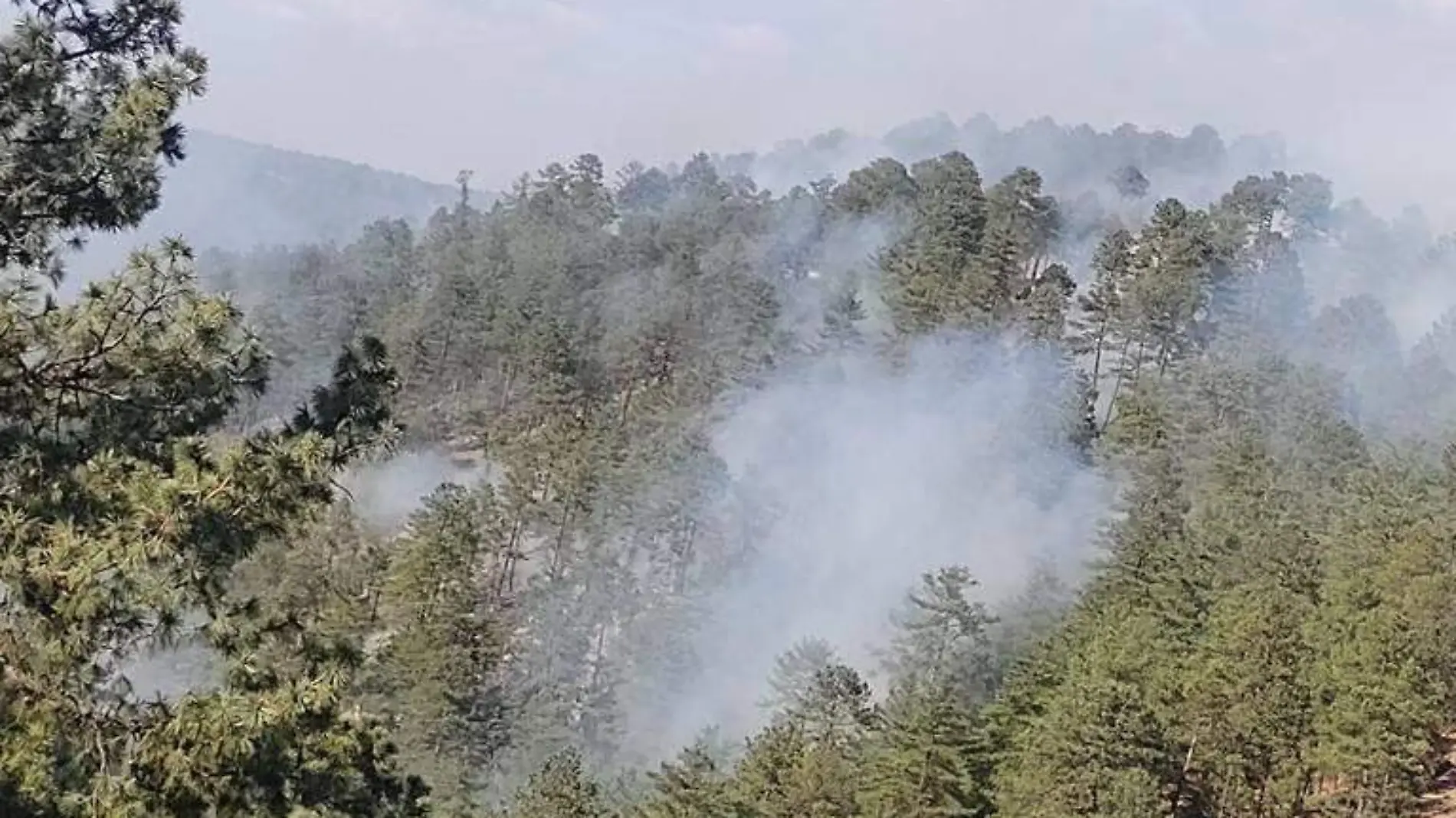 incendio forestal